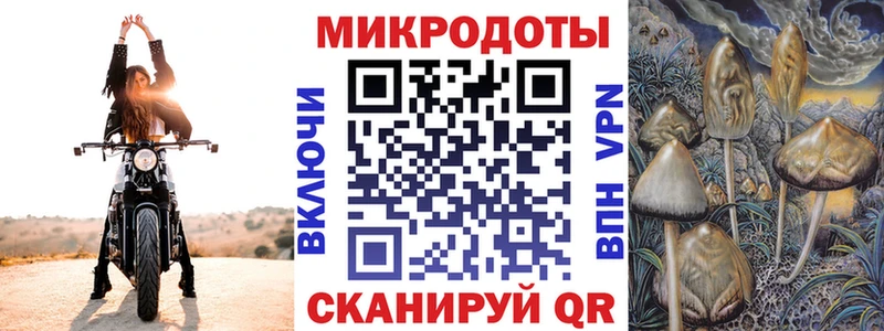 Купить закладки  Кузнецк  Галлюциногенные грибы Psilocybine cubensis 